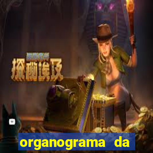 organograma da cacau show